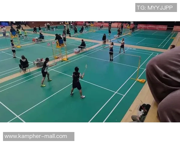 成都羽毛球队在比赛中创下新高经验排名引发关注与讨论